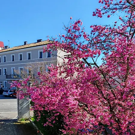 Alloggi Tosca Airport رونتشي دي ليجيوناري