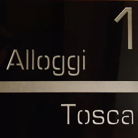 Alloggi Tosca Airport 隆基代雷贡纳里